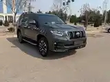 Toyota Land Cruiser Prado, 2021-7