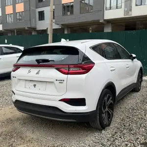 Hongqi E-HS3, 2019