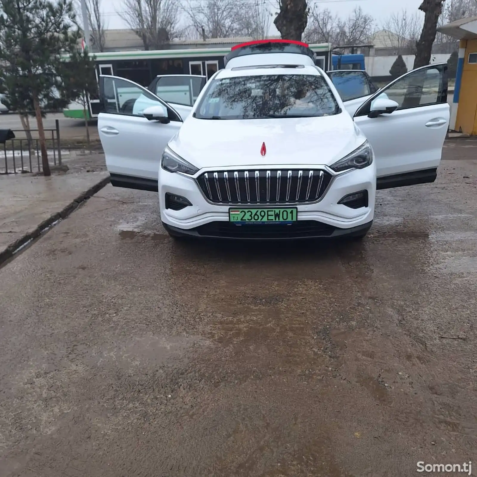 Hongqi E-HS3, 2019-1