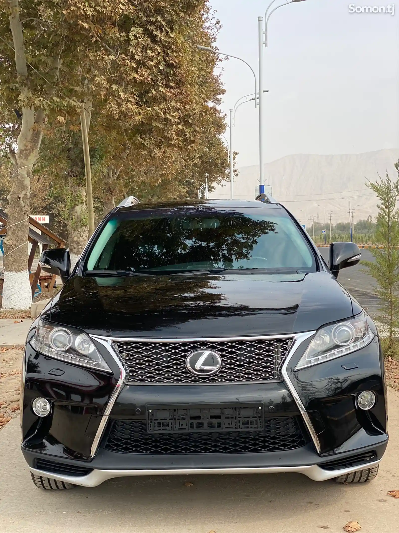 Lexus RX series, 2013-3