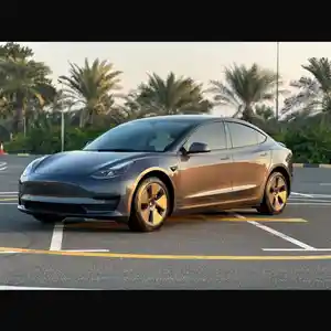 Tesla Model 3, 2023