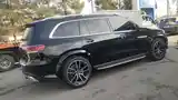 Mercedes-Benz GLS, 2023-7