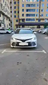 Toyota Camry, 2019-8