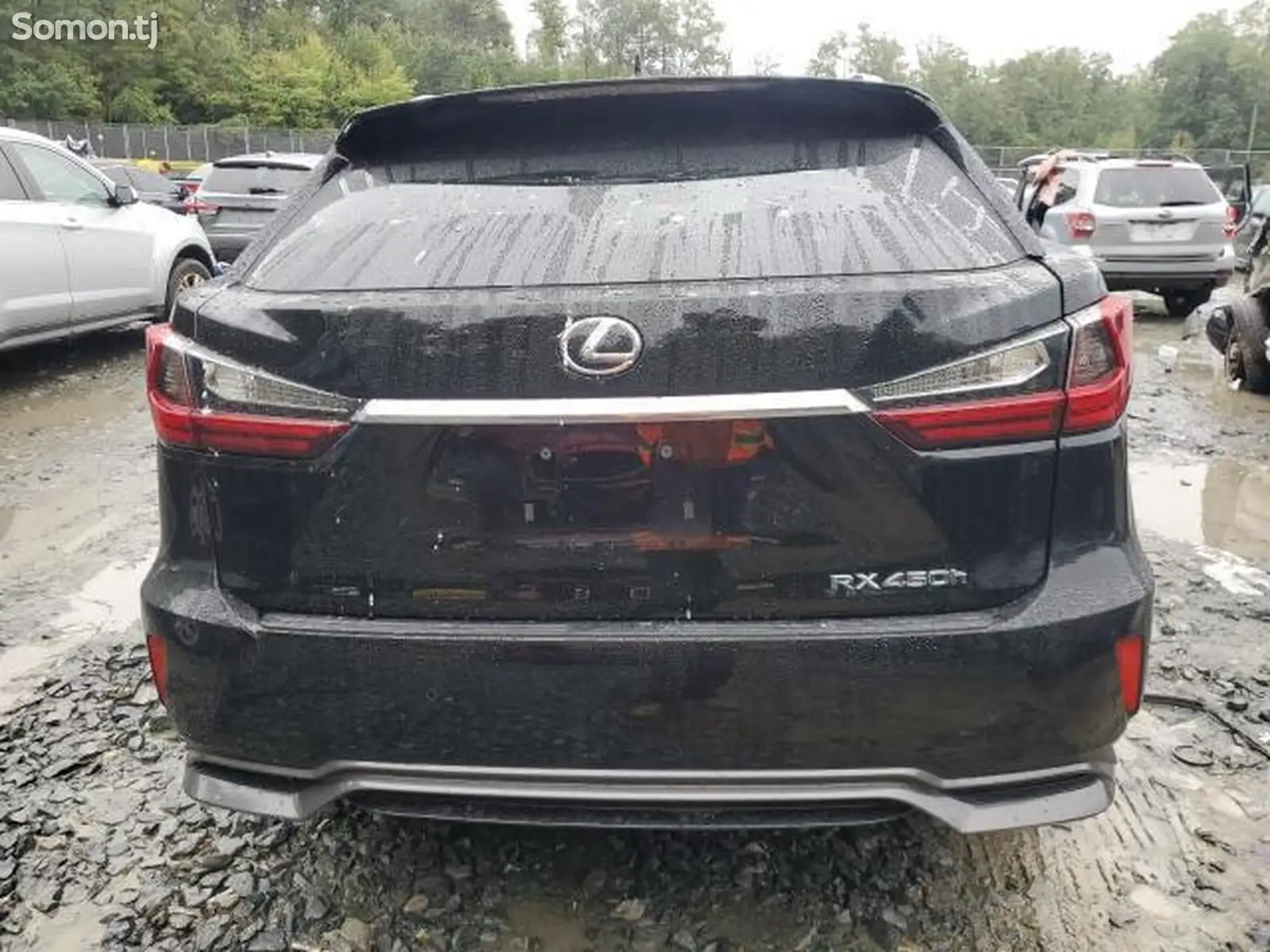 Lexus RX series, 2019-1