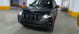 Toyota Land Cruiser Prado, 2021-14