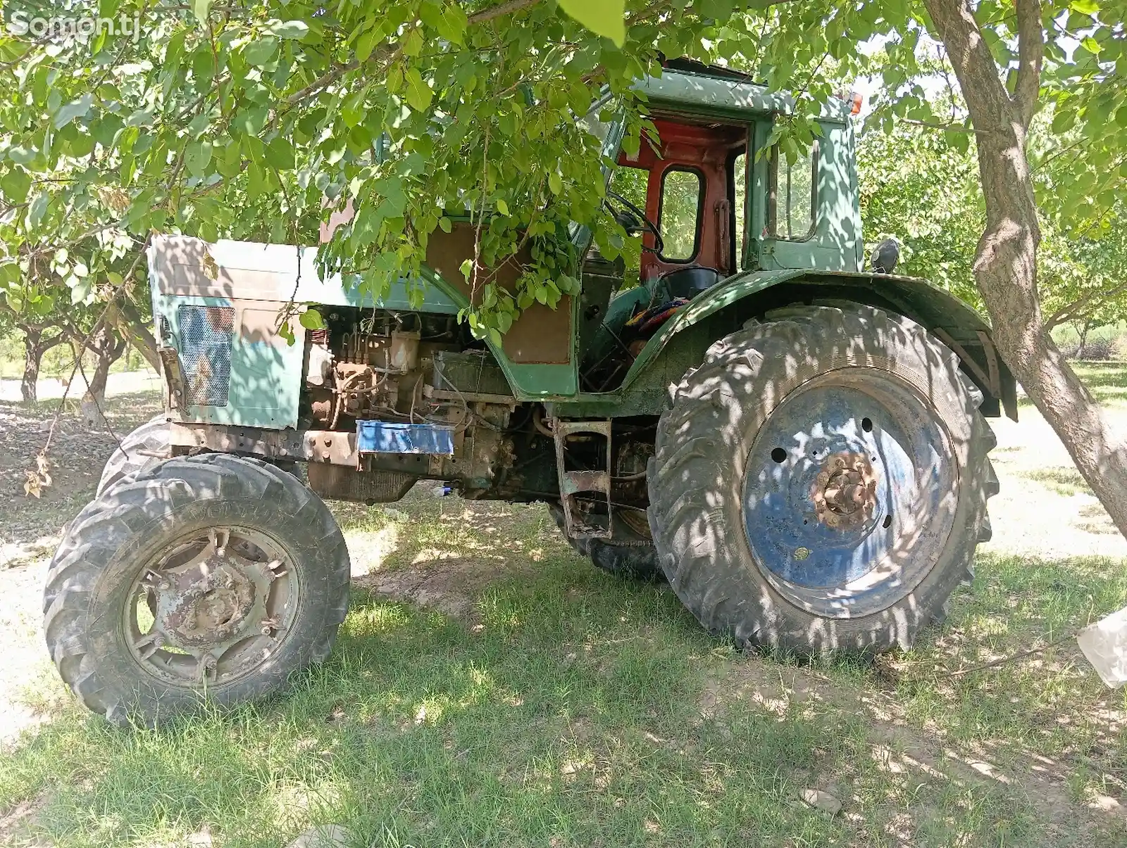 Трактор МТЗ 80-5