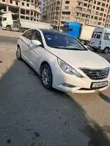 Hyundai Sonata, 2010-3