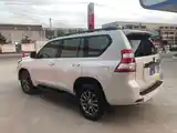 Toyota Land Cruiser Prado, 2013-3