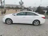 Hyundai Sonata, 2010-3