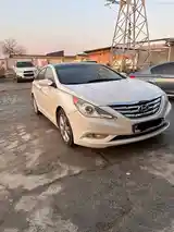 Hyundai Sonata, 2010-3