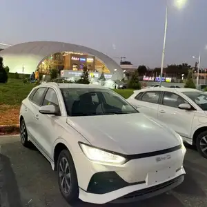 BYD Dolphin, 2024