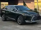 Lexus RX series, 2023-5