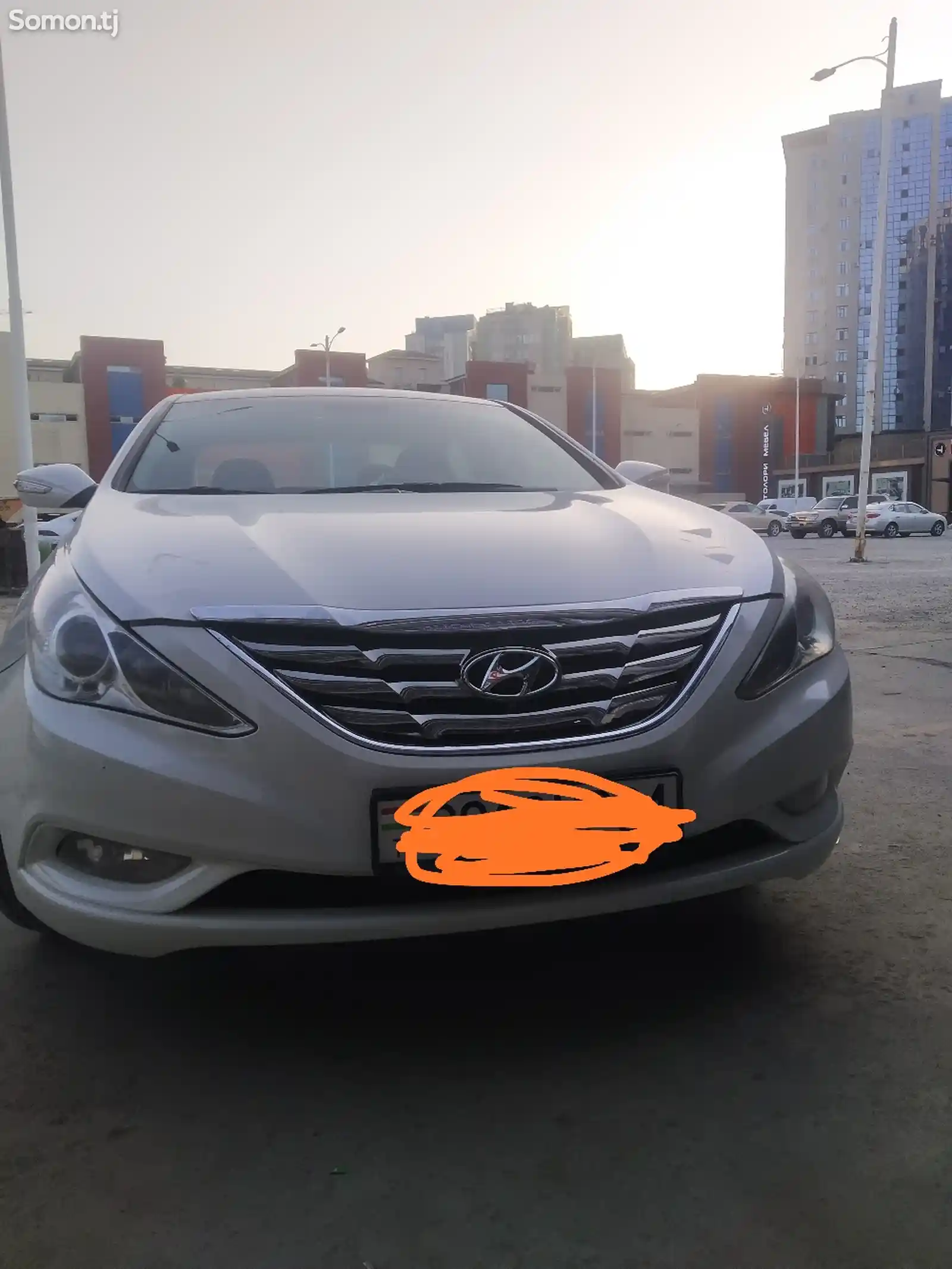 Hyundai Sonata, 2010-1