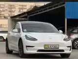 Tesla Model 3, 2020-6