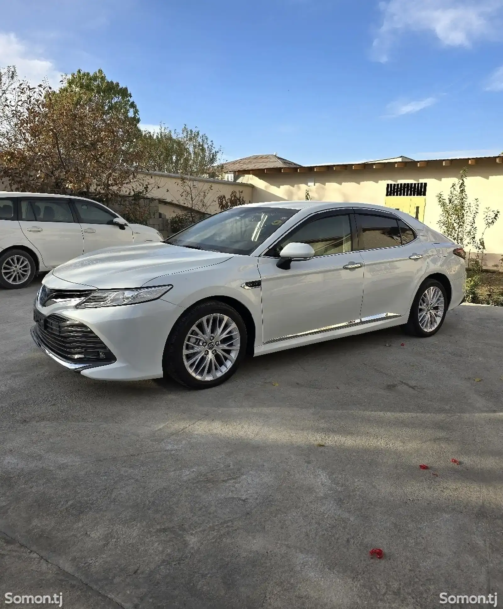 Toyota Camry, 2019-1