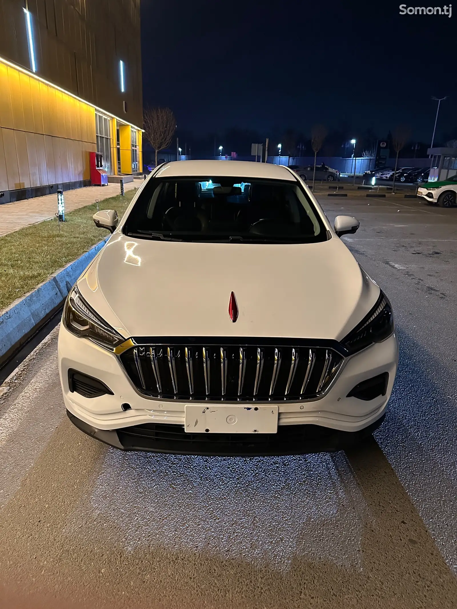 Hongqi E-HS3, 2020-1