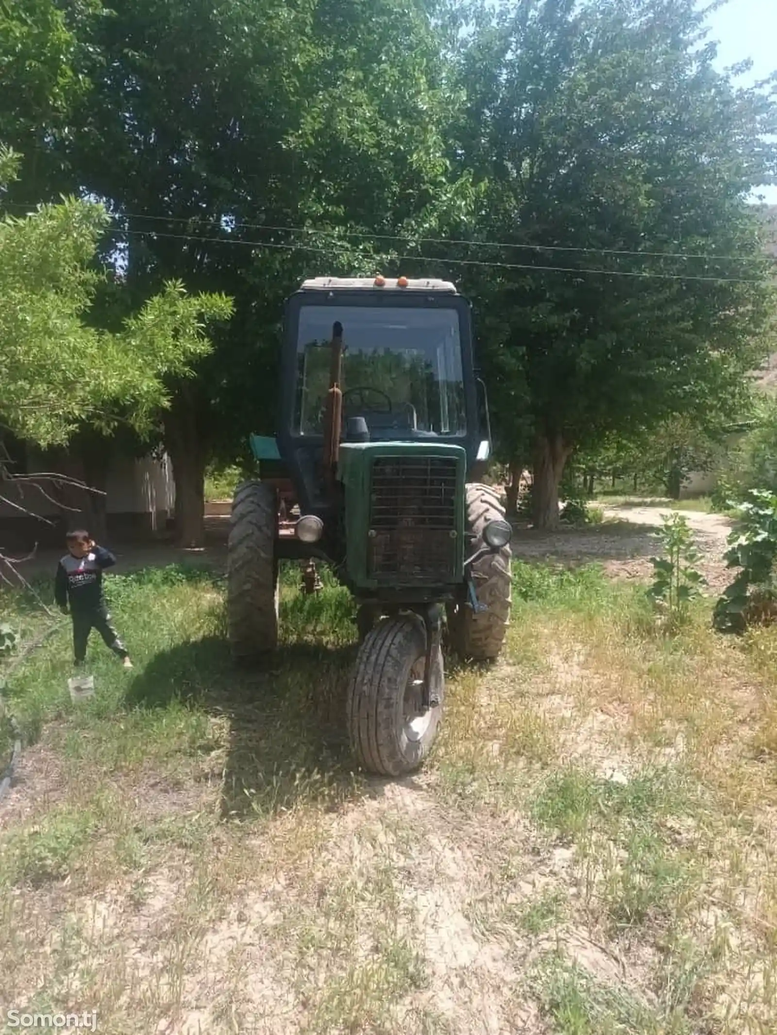 Трактор мтз 80-5