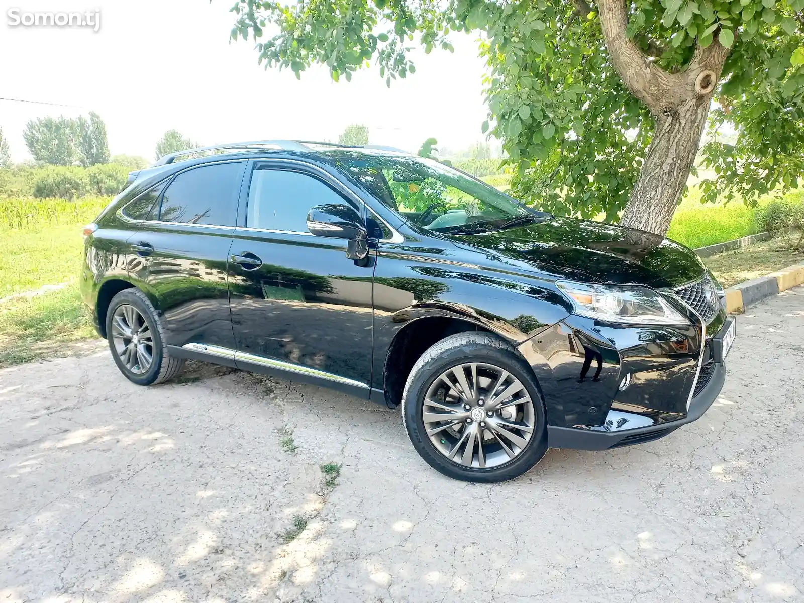 Lexus RX series, 2010-1