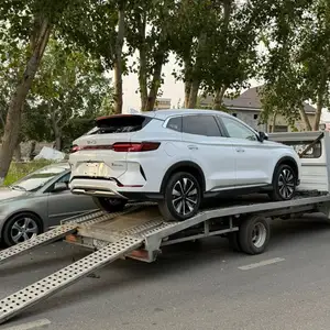 BYD Song Plus Flagship, 2024