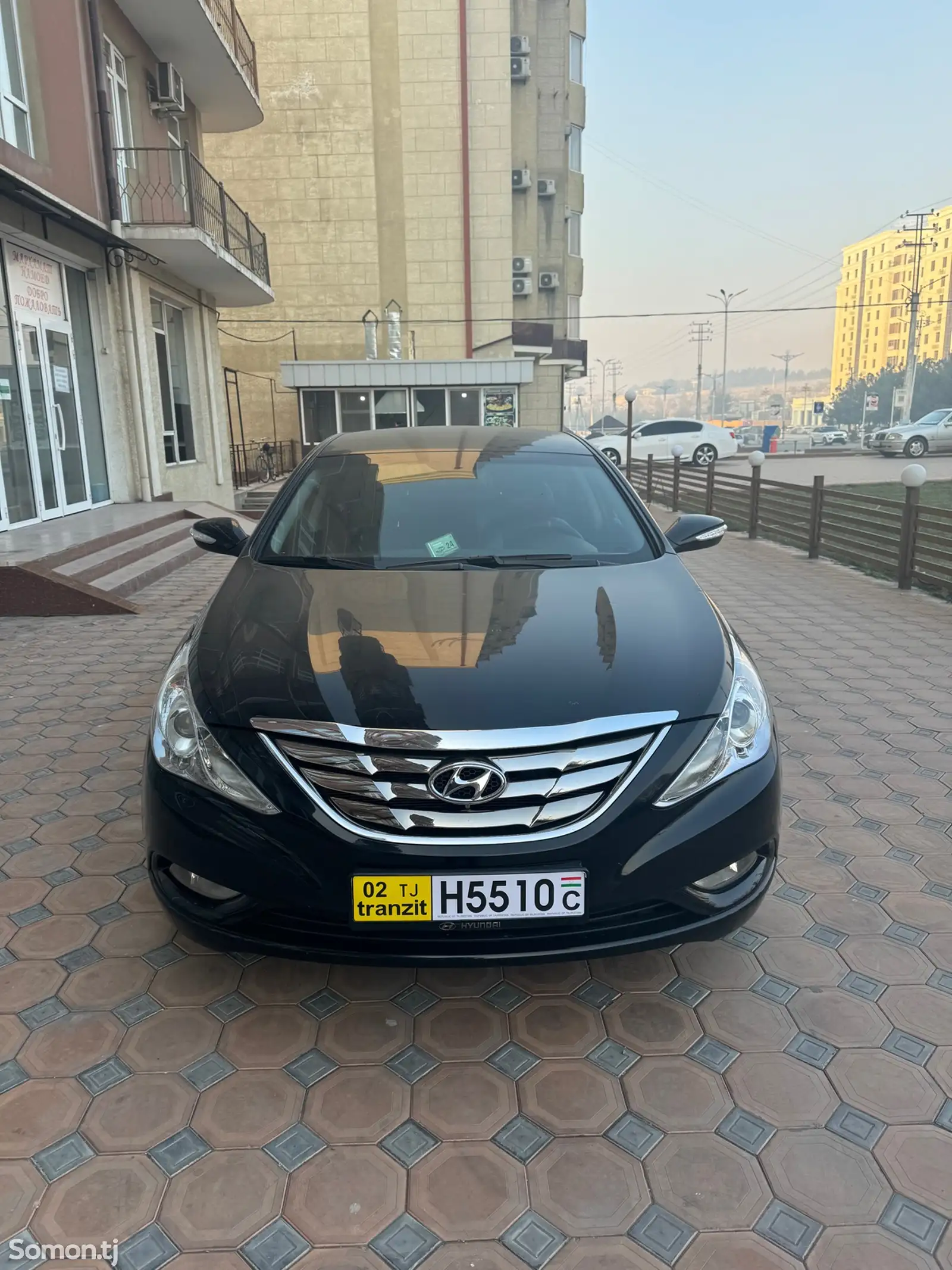 Hyundai Sonata, 2010-1