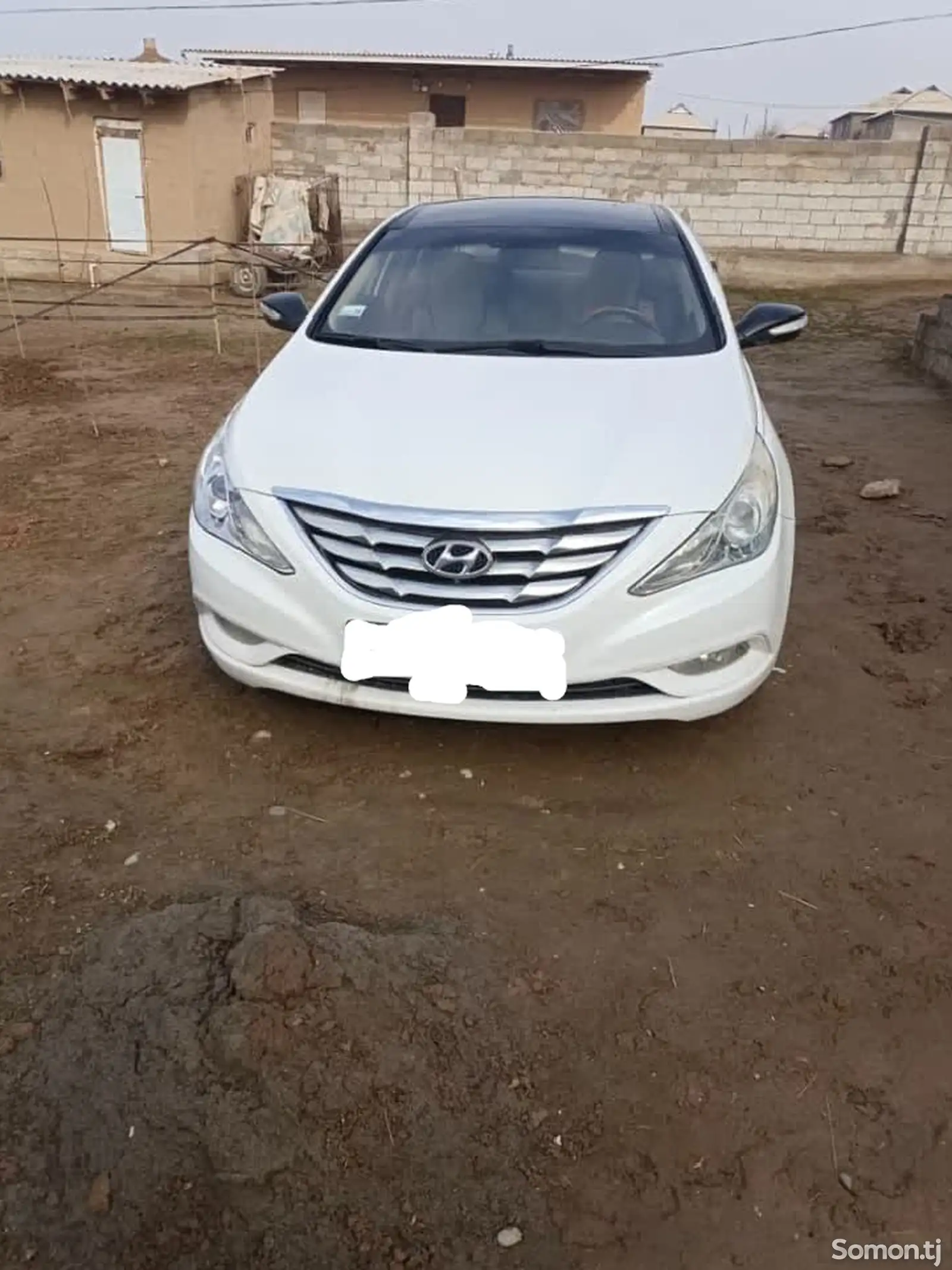 Hyundai Sonata, 2010-1