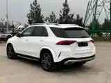 Mercedes-Benz GLE class, 2020-3