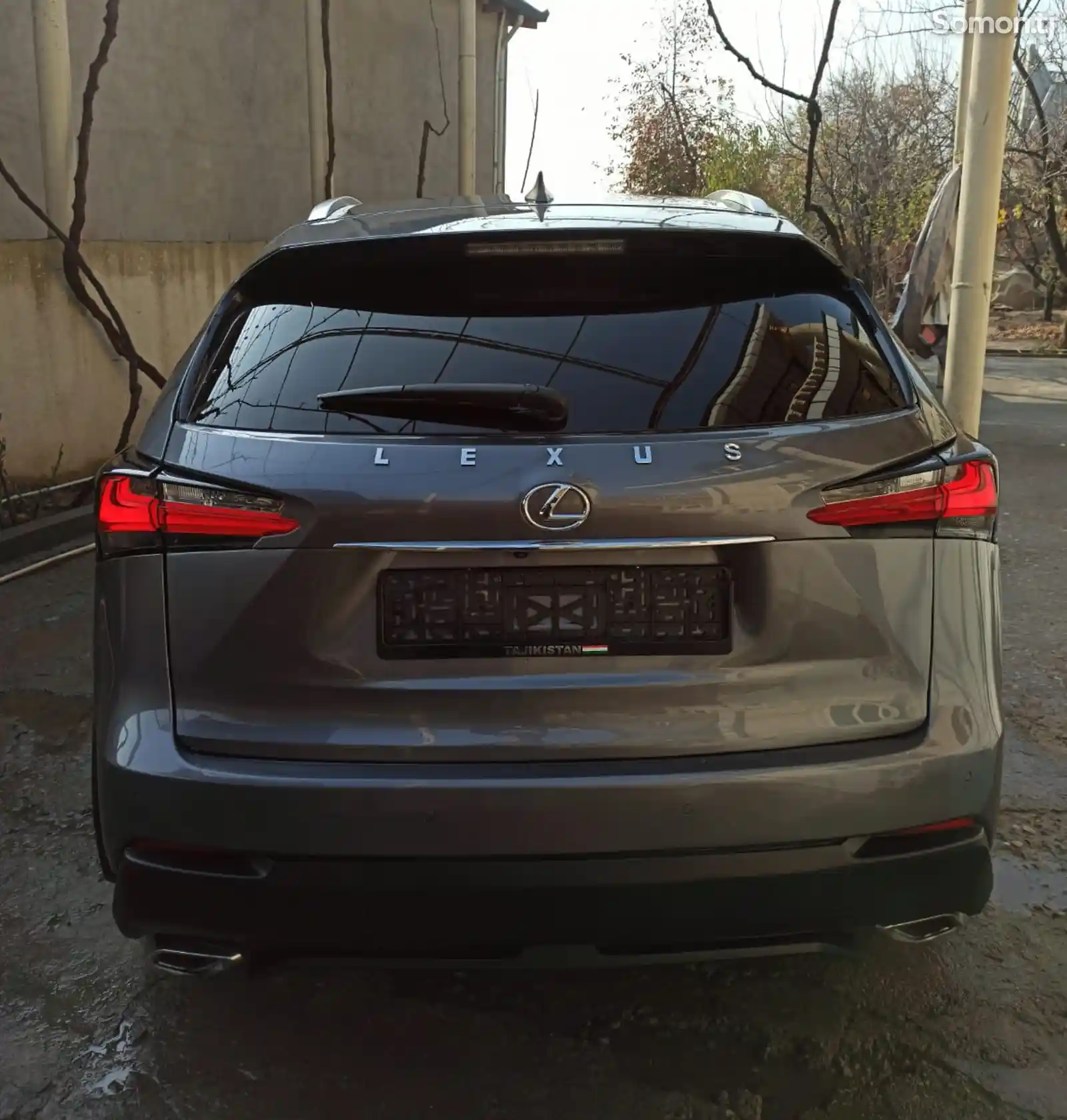 Lexus NX series, 2016-6