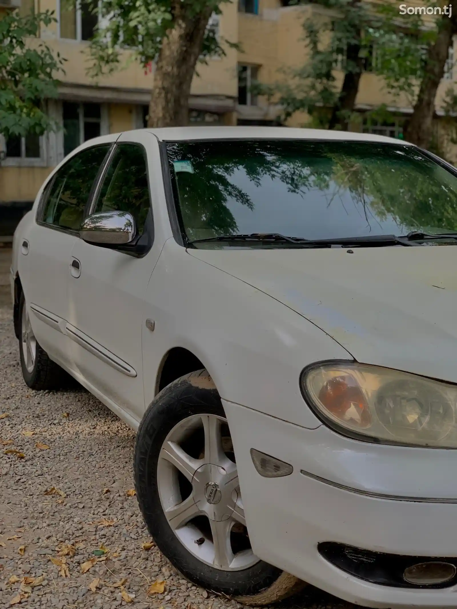 Nissan Maxima, 2006-1