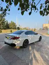 BMW 5 series, 2019-4