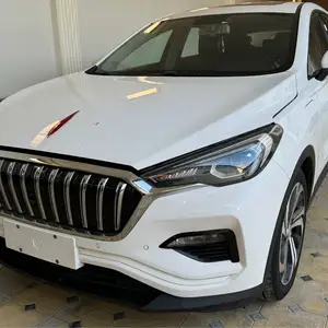 Hongqi E-HS3, 2019