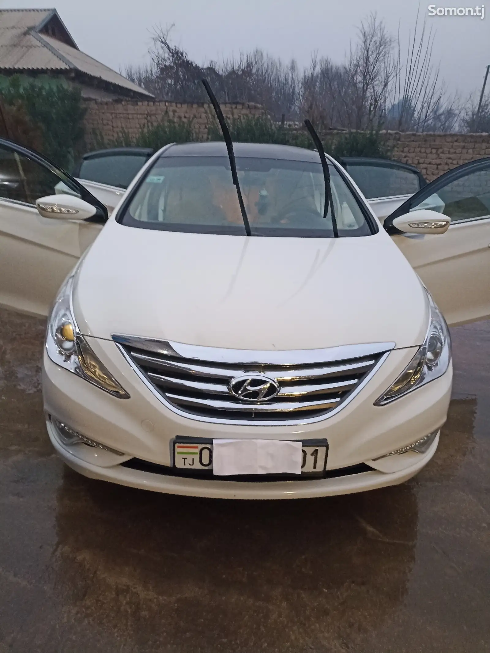 Hyundai Sonata, 2010-1