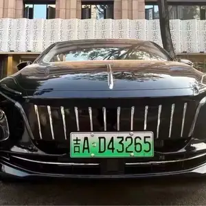 Hongqi E-QM5, 2021