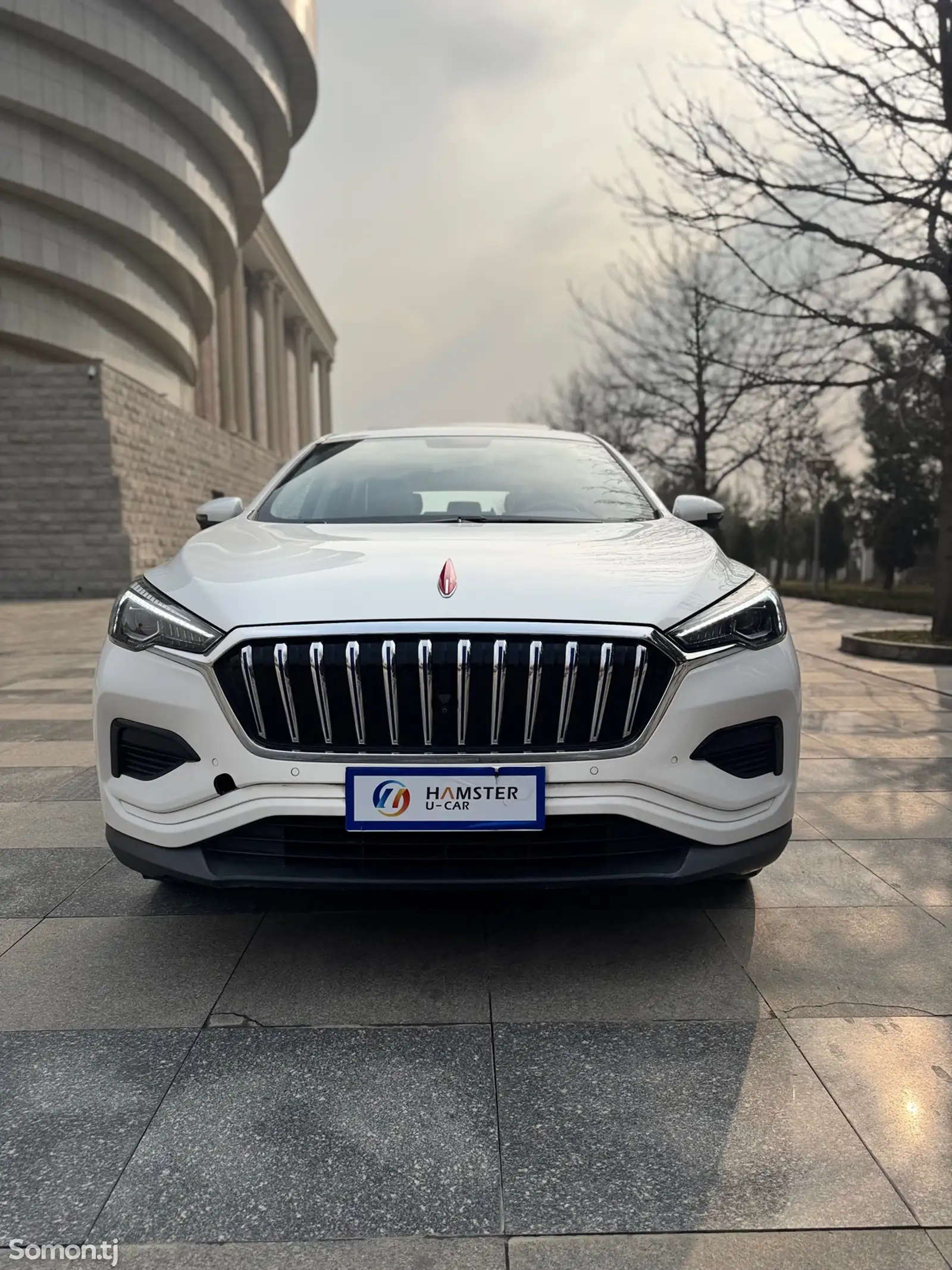 Hongqi E-HS3, 2020-1