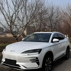 BYD Song Plus Flagship, 2024