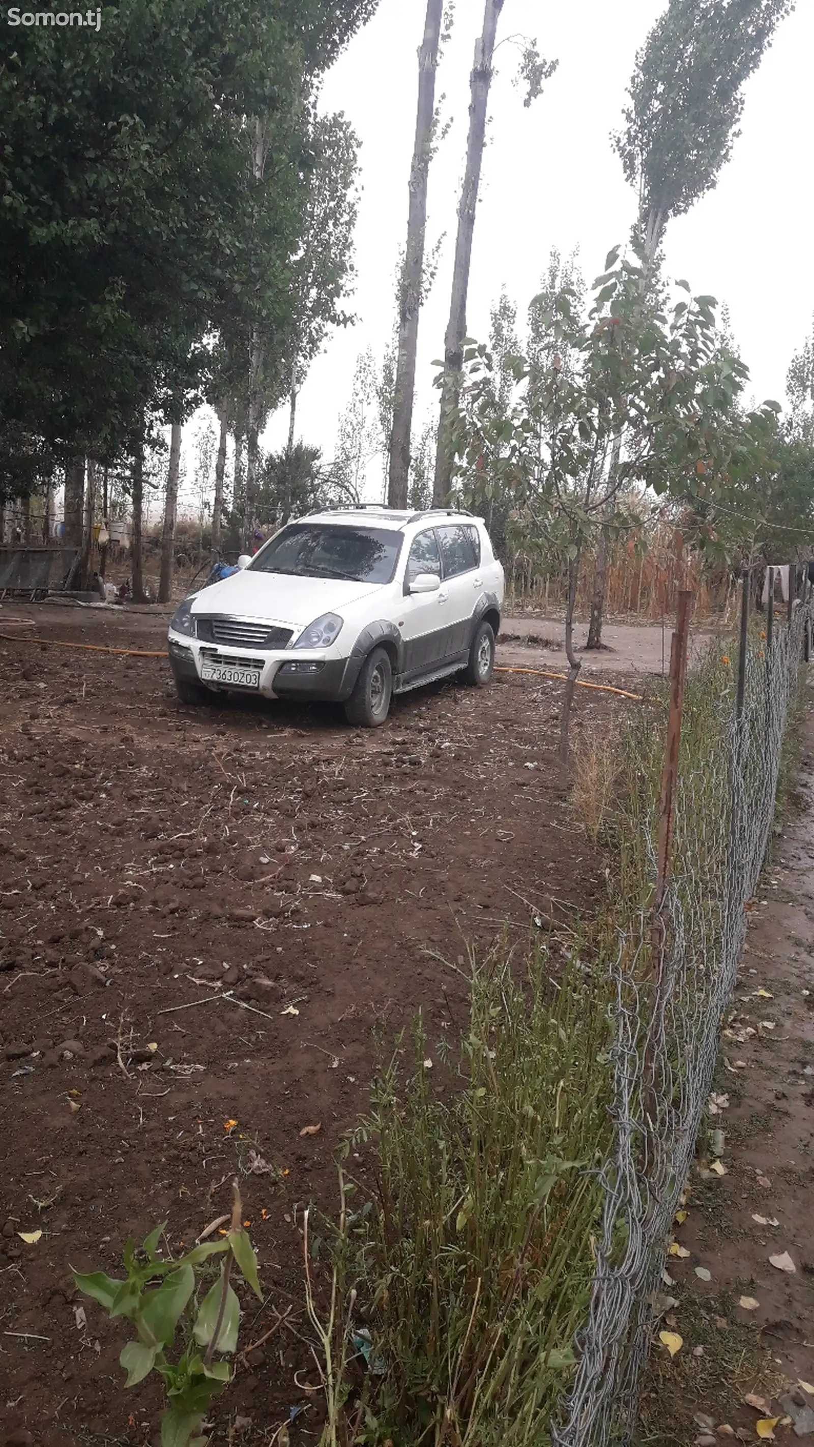 Ssang Yong Rexton, 2007-8