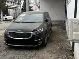 Kia Carnival, 2014-6