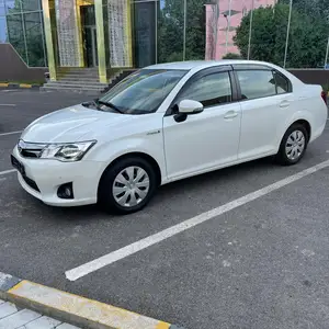 Toyota Axio, 2014