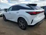 Lexus RX series, 2023-4