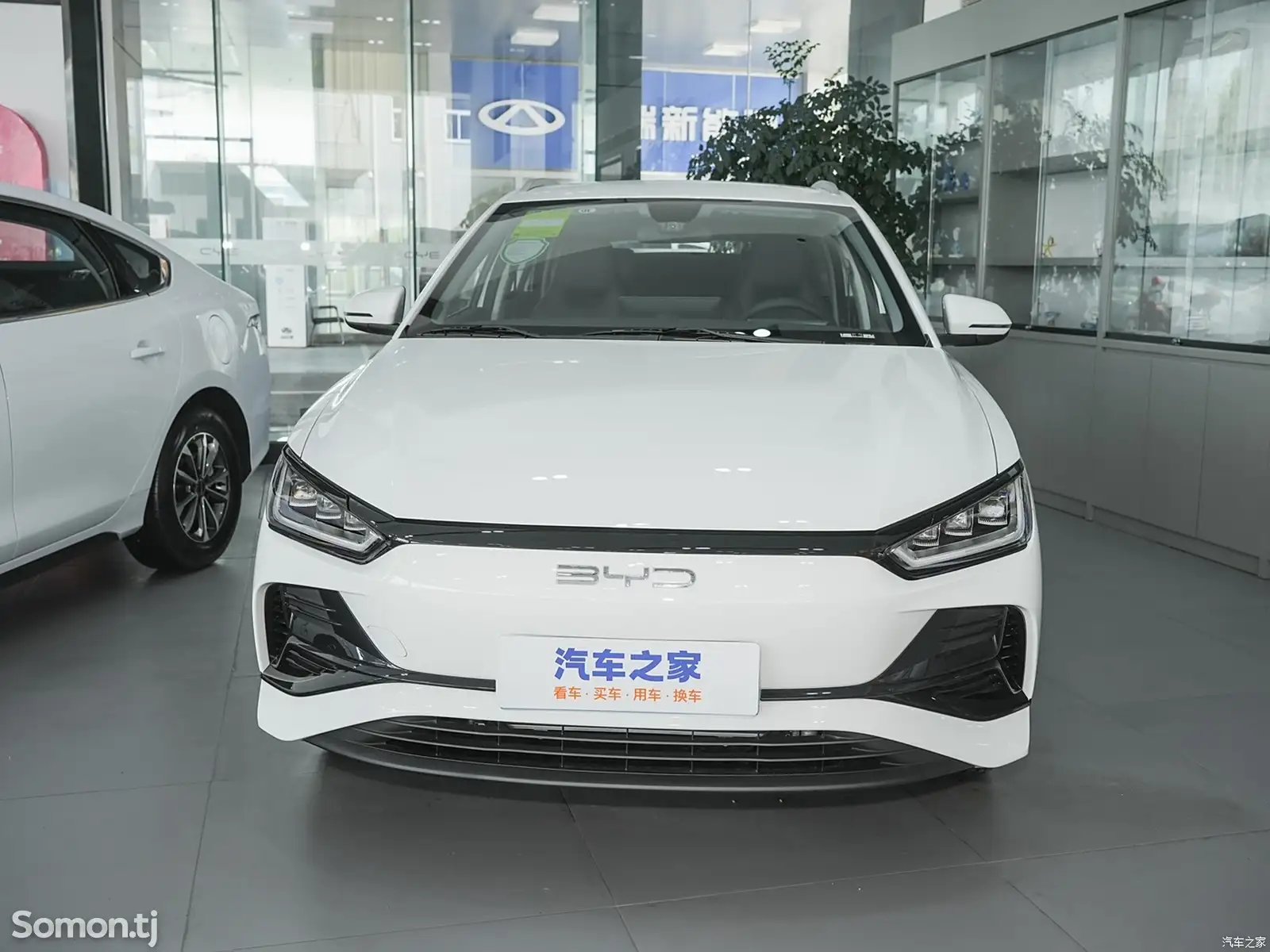 BYD E2, 2024-1