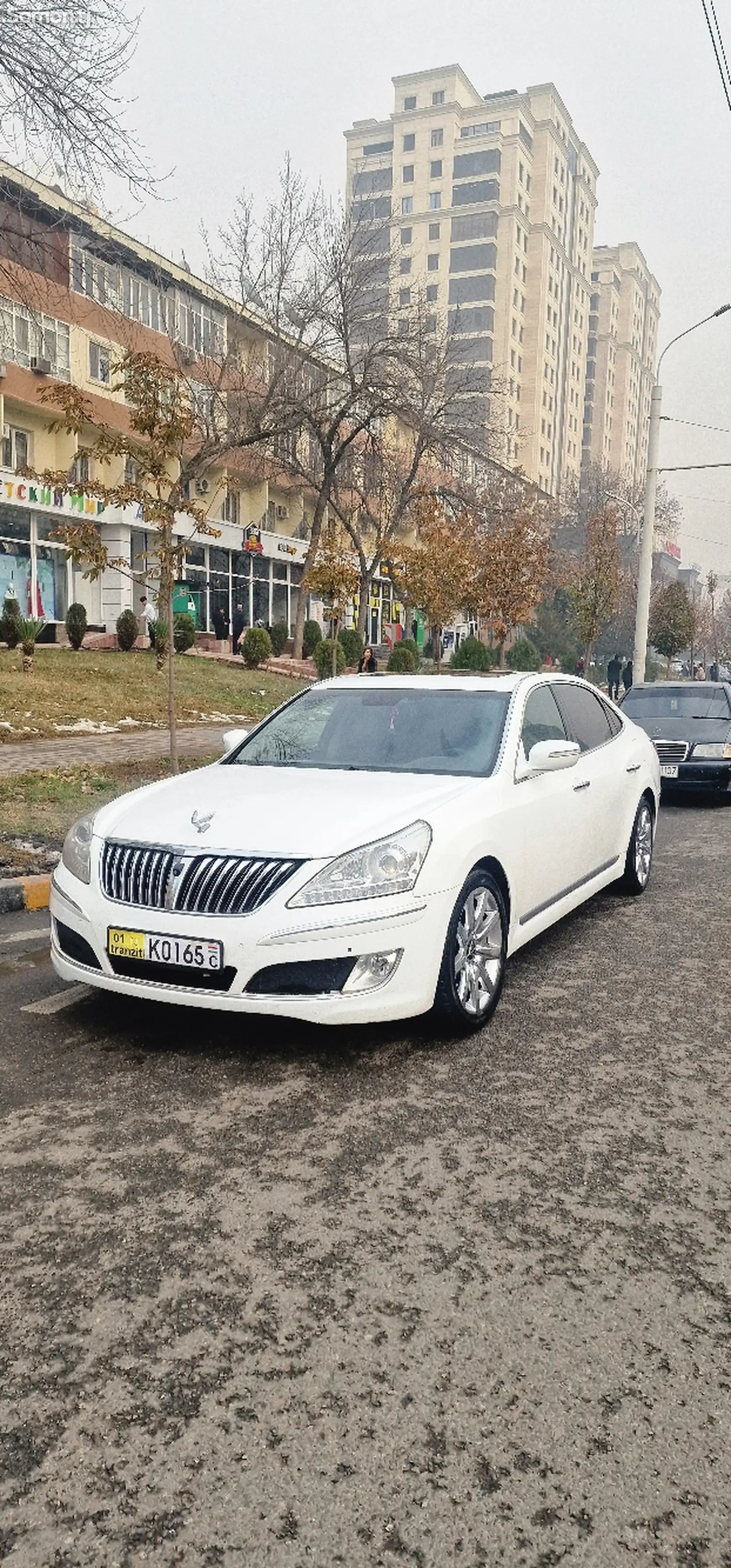 Hyundai Equus, 2010-1