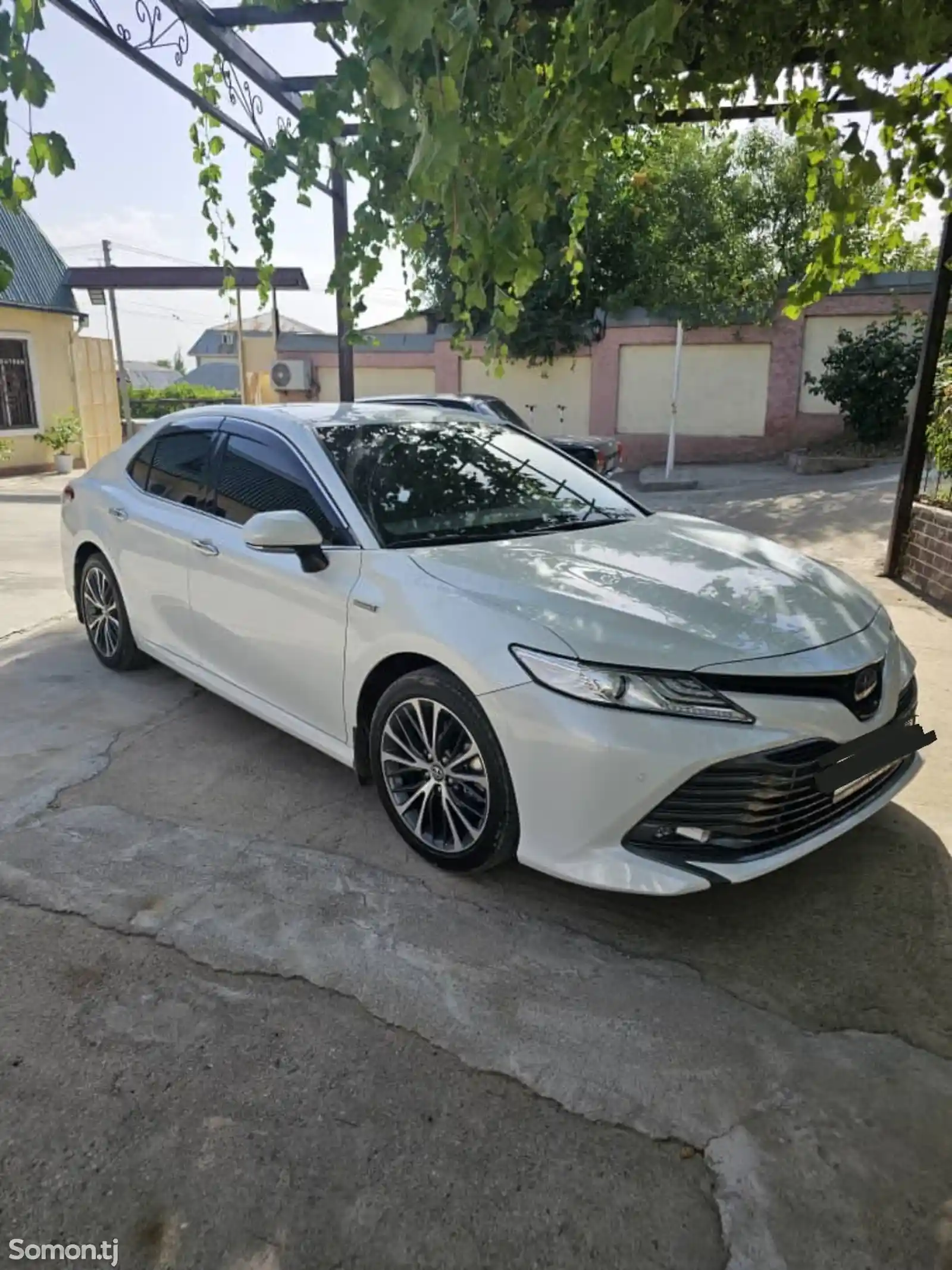 Toyota Camry, 2019-2