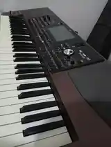 Синтезатор Korg pa 1000-4