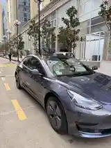 Tesla Model 3, 2023-6