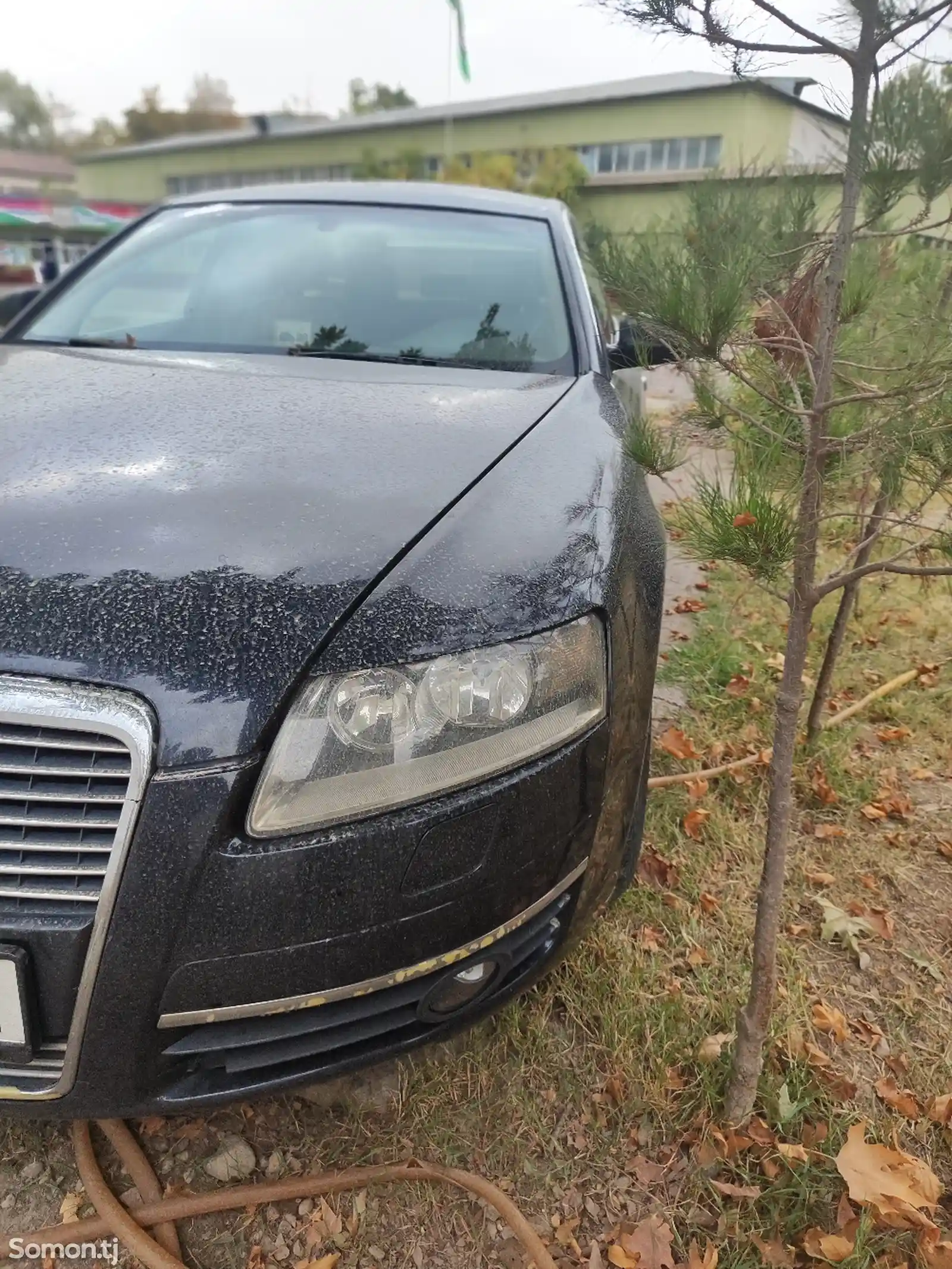 Audi A6, 2005-1