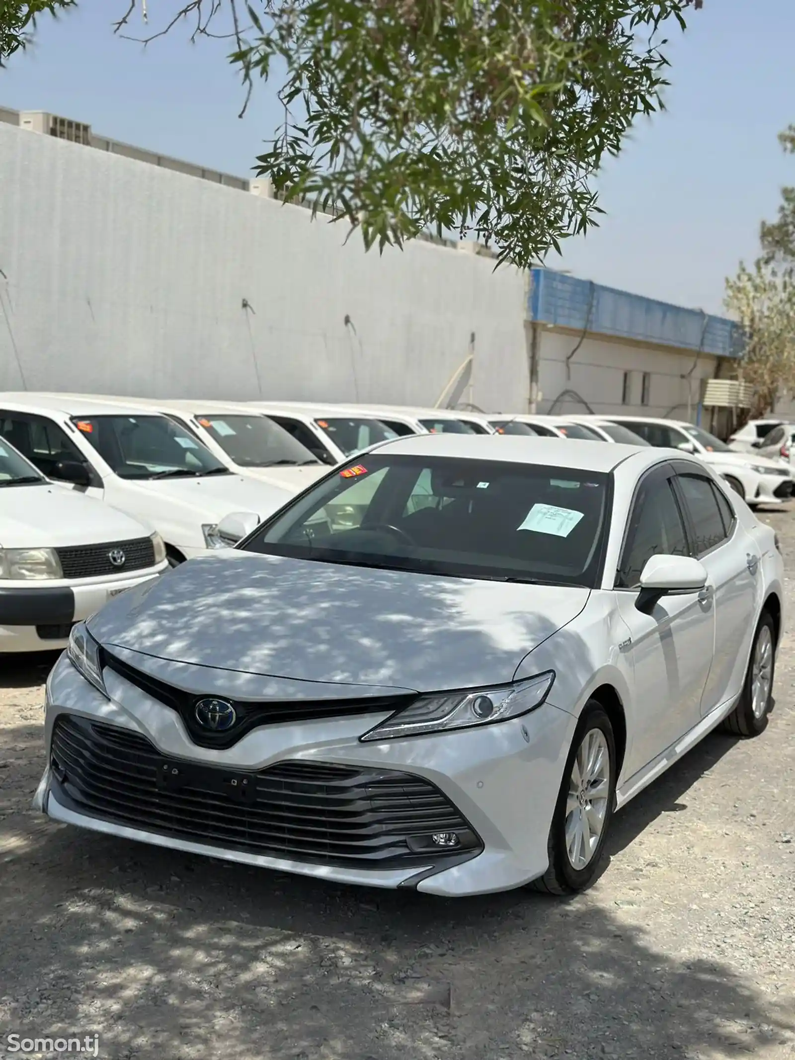 Toyota Camry, 2019-15