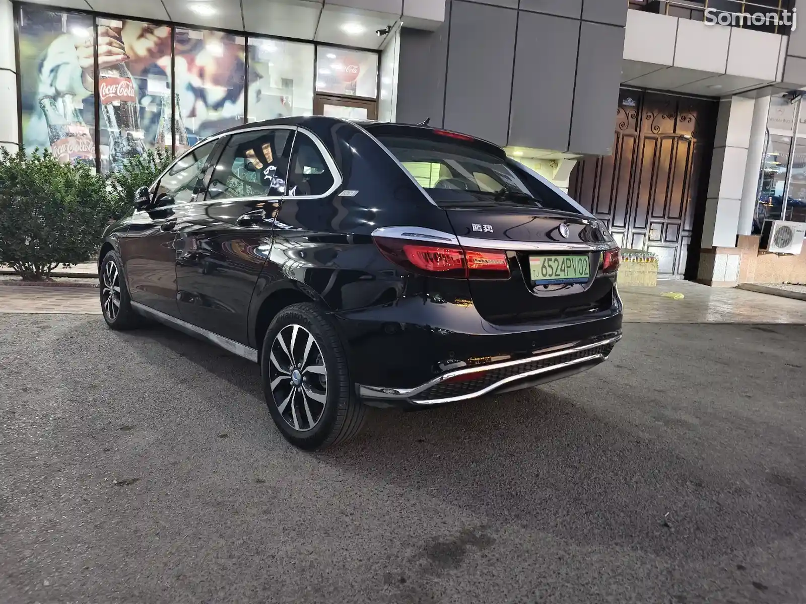 BYD Другие модели, 2019-7