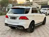 Mercedes-Benz GLE class, 2017-5