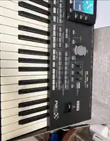 Синтезатор Korg pa3x61-6