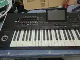 Синтезатор korg pa 4x-6