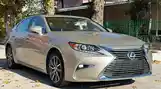 Lexus ES series, 2016-2